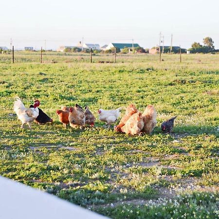 Aintree Farm Cottage ลางเงอบาน ภายนอก รูปภาพ