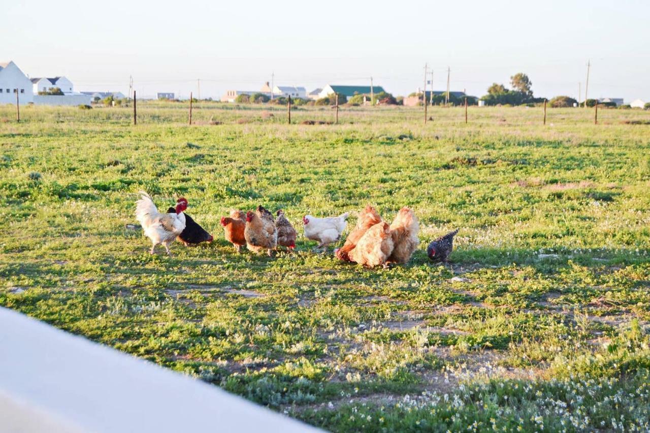 Aintree Farm Cottage ลางเงอบาน ภายนอก รูปภาพ